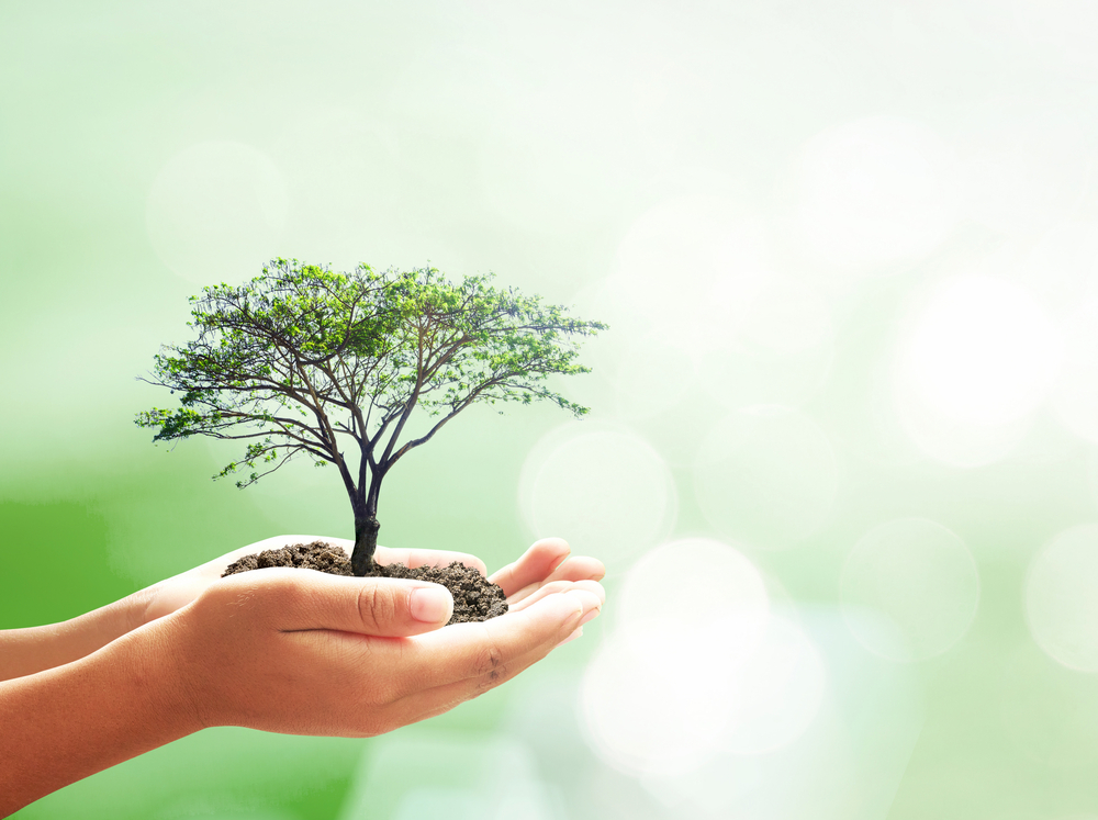 Nanosonics Limited, continued investment for strategic growth
